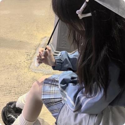 高速路上一只猫